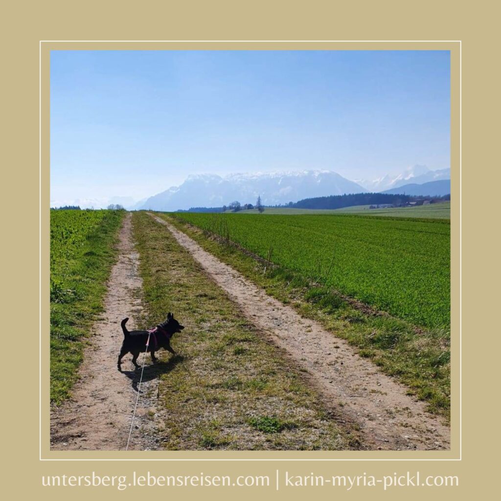 Ruft dich der mystische Untersberg?
